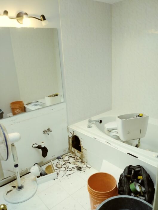 Bathroom Demolition